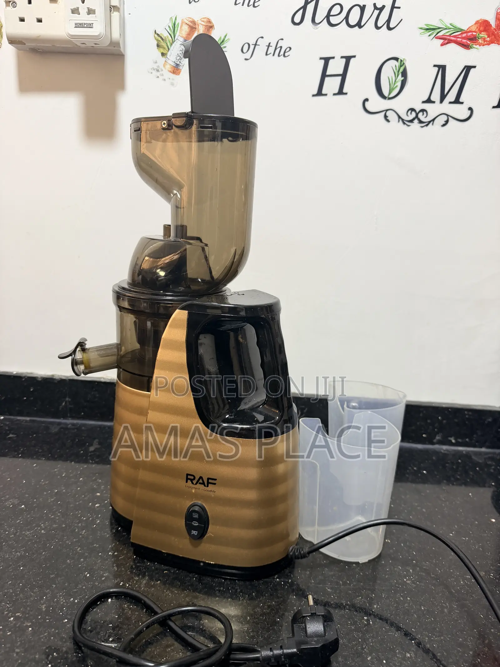 Slow Masticating Juicer