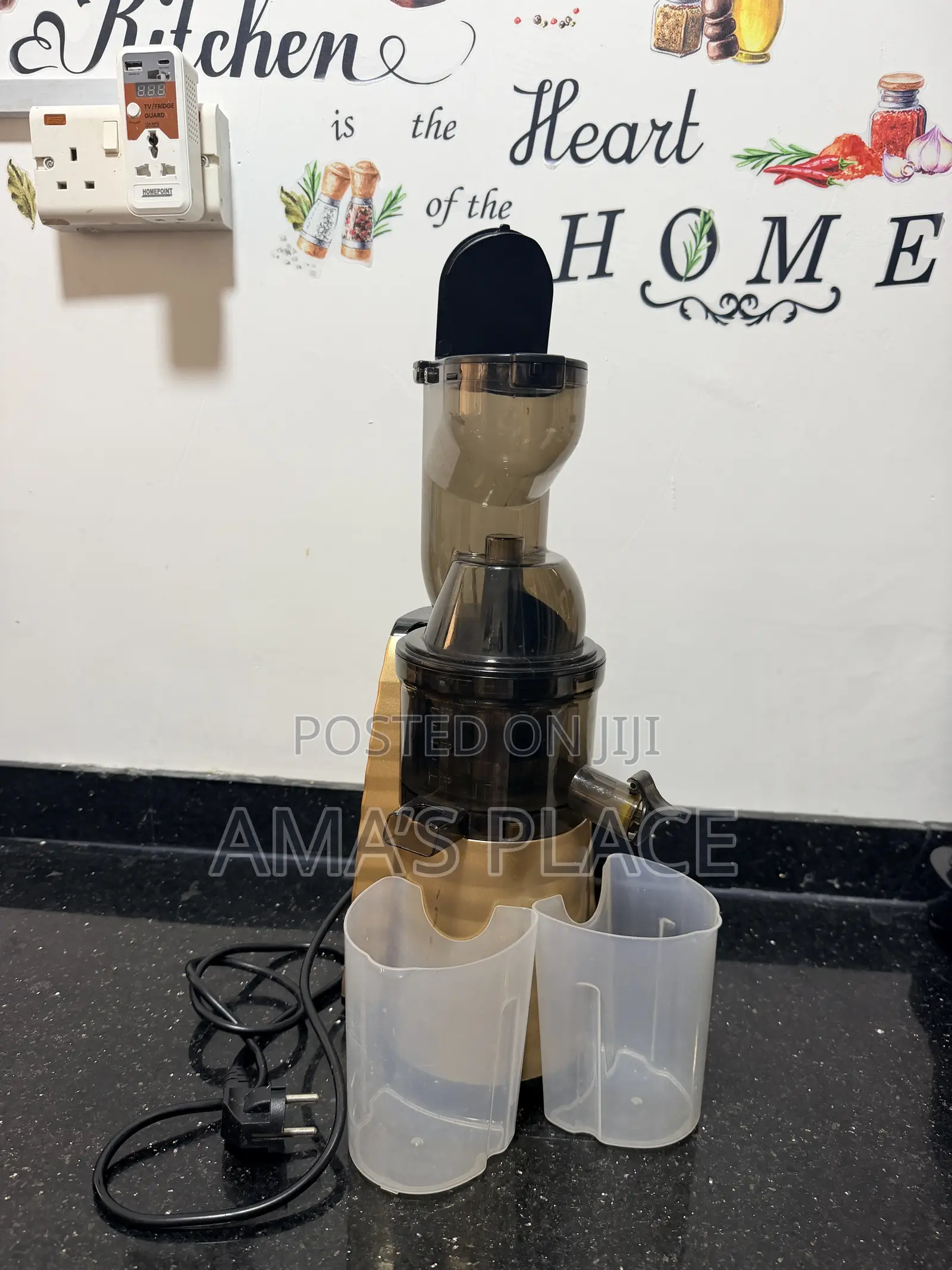 Slow Masticating Juicer