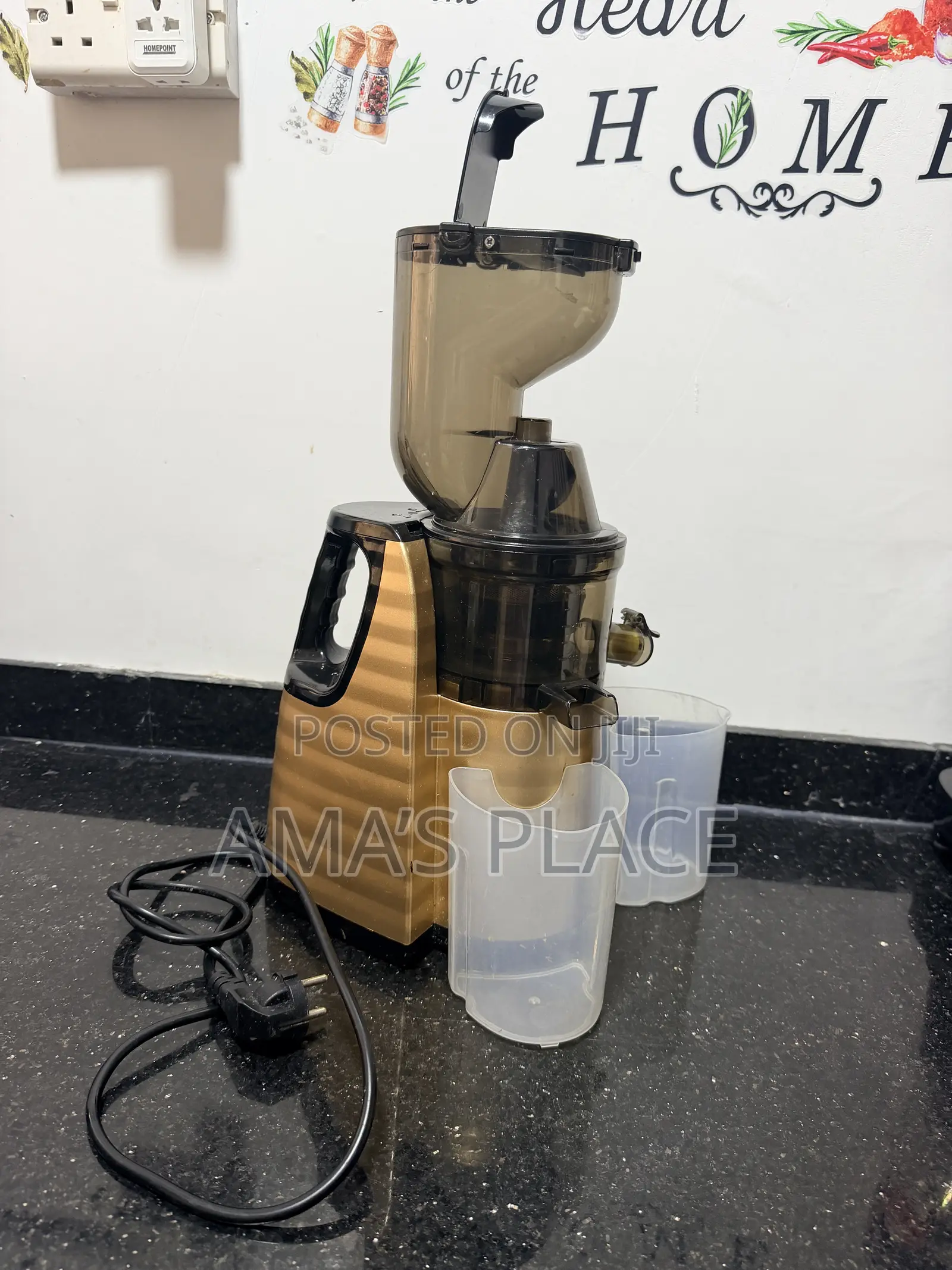 Slow Masticating Juicer