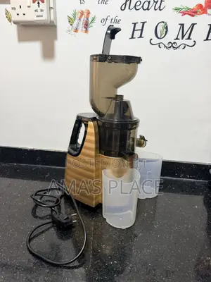 Slow Masticating Juicer