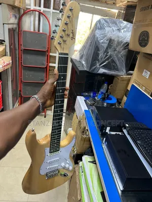 Professional Electric Lead Guitar