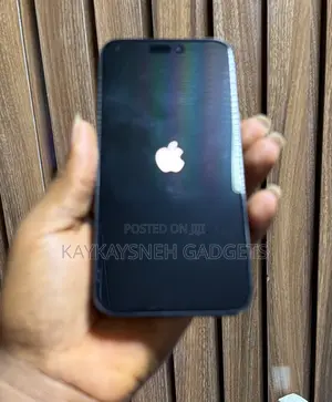 Apple iPhone 15 Pro Max 256 GB Graphite