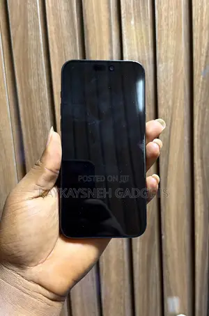 Apple iPhone 15 Pro Max 256 GB Graphite