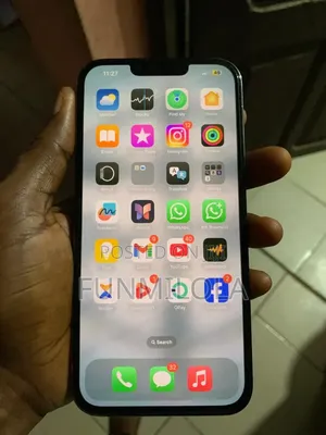 Apple iPhone 13 Pro Max 256 GB Gray