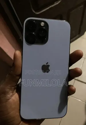 Apple iPhone 13 Pro Max 256 GB Gray