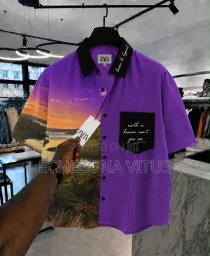 Very Sweet Looking Zara Fashion Shirt