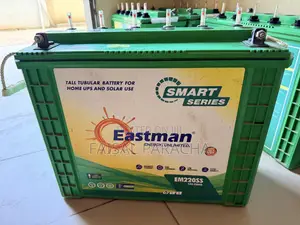 220 mAh Tall Tubular Batteries