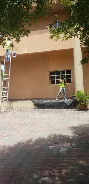 Professional Painter