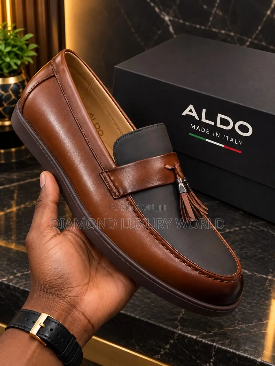 Aldo Men Shoe