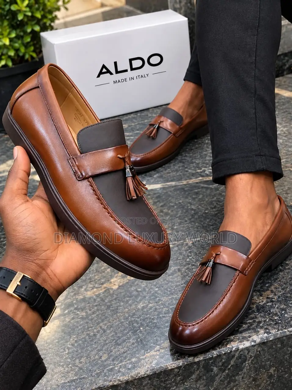 Aldo Men Shoe