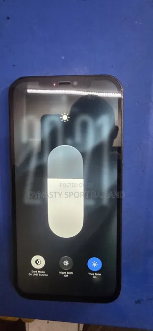 Apple iPhone 12 Pro Max 256 GB Blue