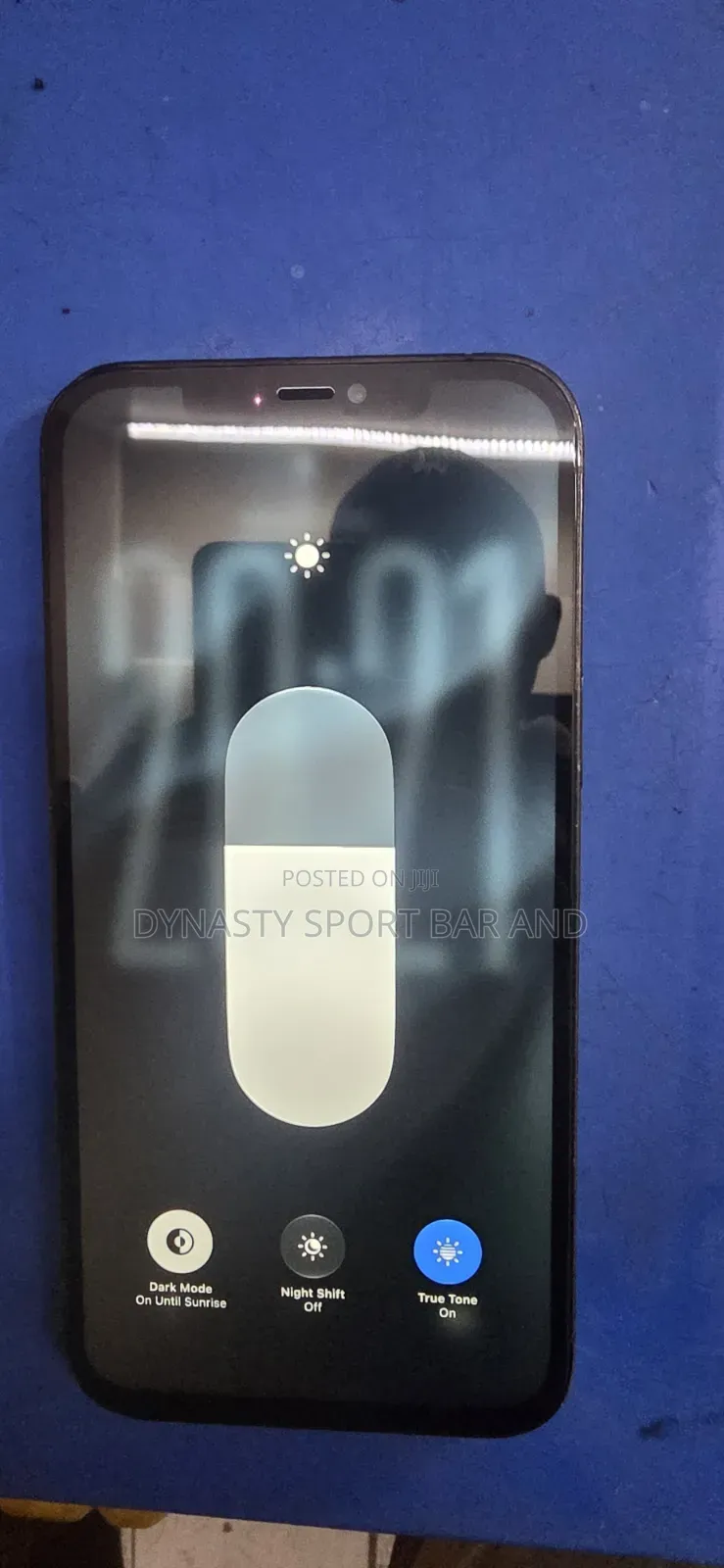 Apple iPhone 12 Pro Max 256 GB Blue