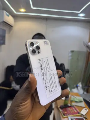Apple iPhone 12 Pro Max 256 GB Silver