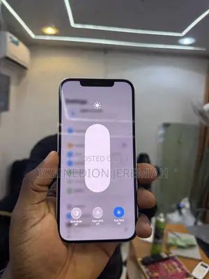 Apple iPhone 12 Pro Max 256 GB Silver