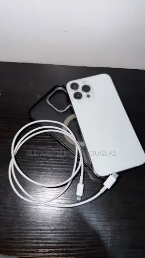 Apple iPhone 13 Pro Max 256 GB Silver