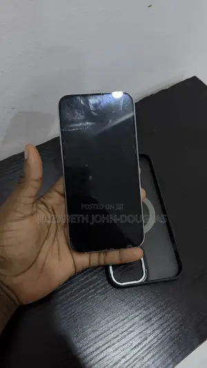 Apple iPhone 13 Pro Max 256 GB Silver