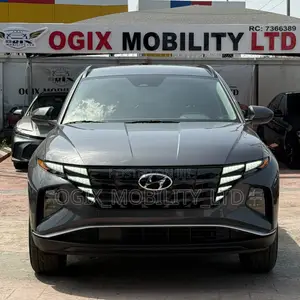 Hyundai Tucson 2024 Gray