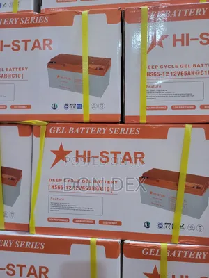 65Ah 12v Hi - Star Gel Battery