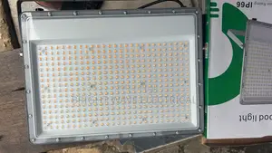 Wormwhite Flood Light 300wt