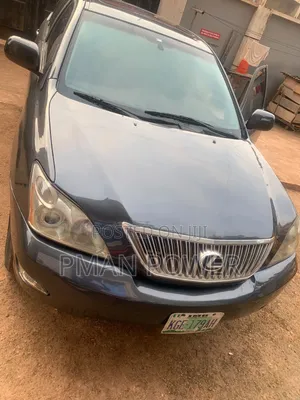 Lexus RX 330 2005 Gray