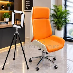 Ergonomic Luxury Office Chair