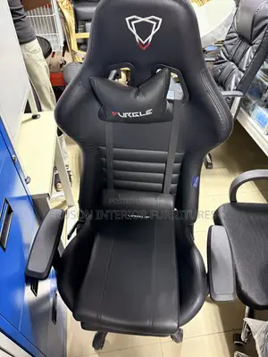 Apex Pro Gaming and Office Chair