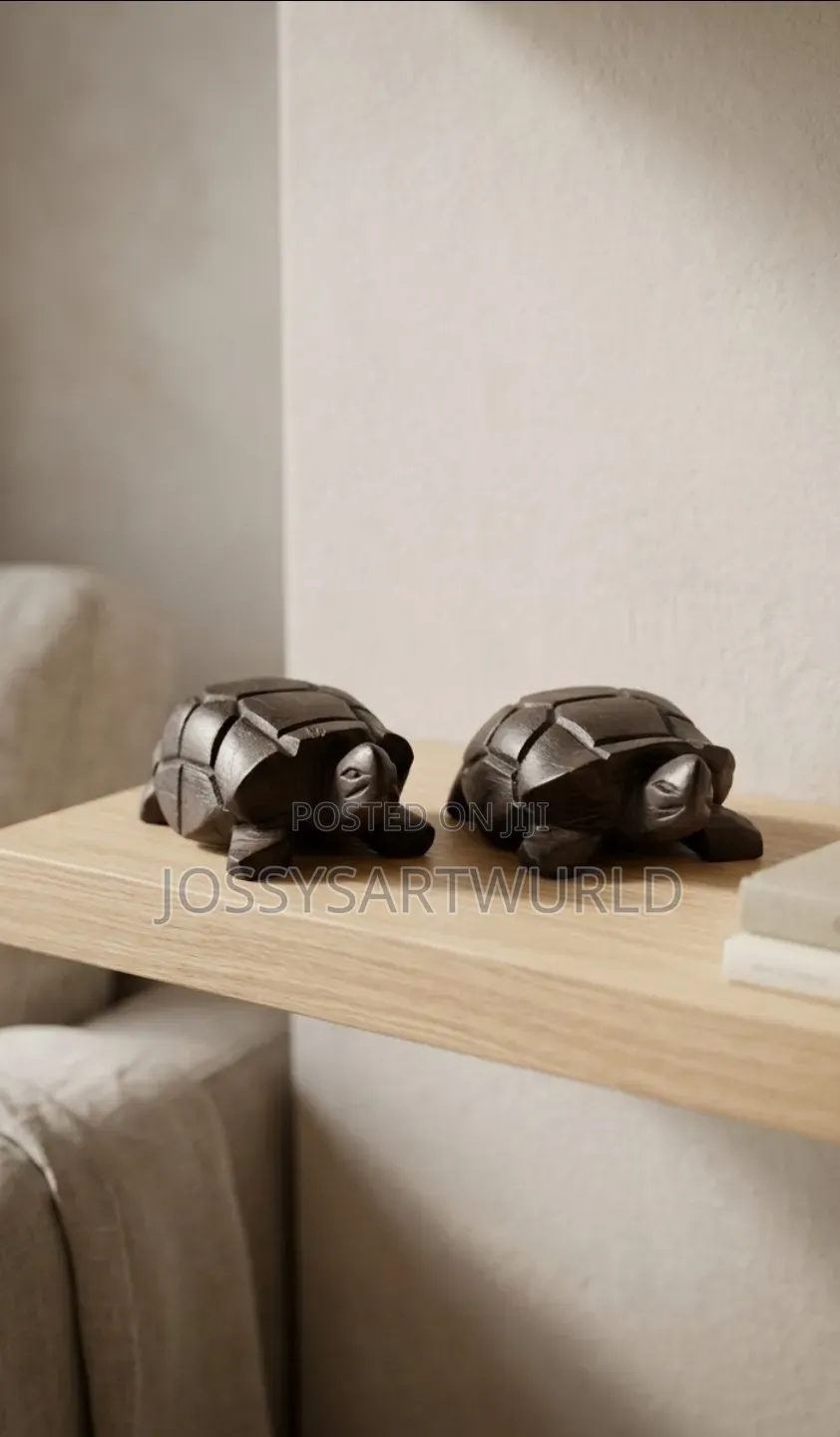 Tortoise Set