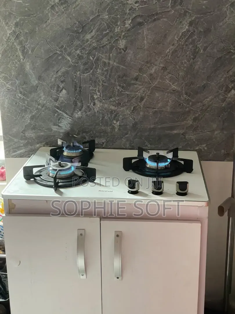 Gas Cooker