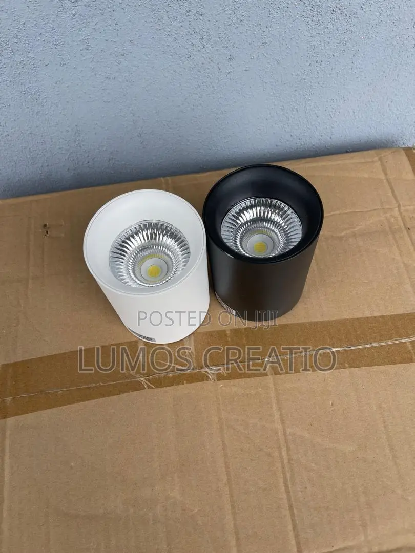 Ceiling Light at Wholesale Price