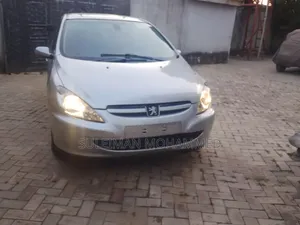 Peugeot 307 1.6 Break Oxygo 2007 Silver