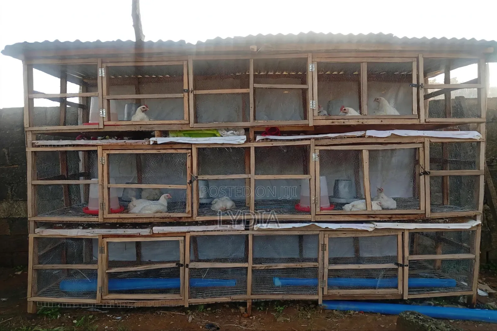 Poultry Cage