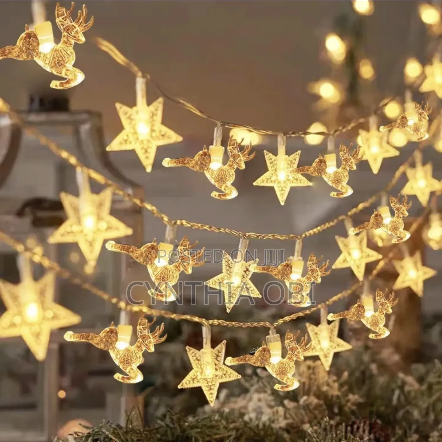 Christmas Light