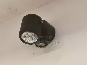 Adjustable Wall Mounted Light