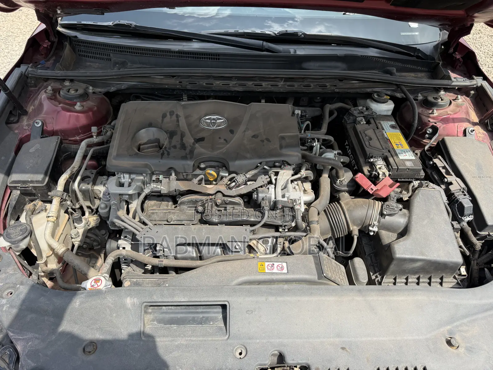 Toyota Avalon 2019 Maroon