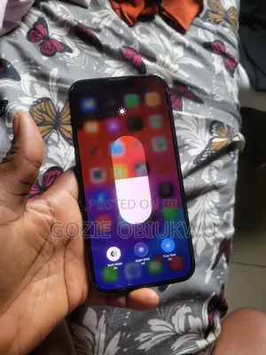 Apple iPhone 13 Pro Max 256 GB Blue