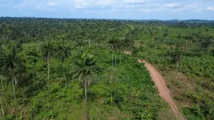 Altana: Land 10 Minutes Behind Gateway International Airport, Ogun