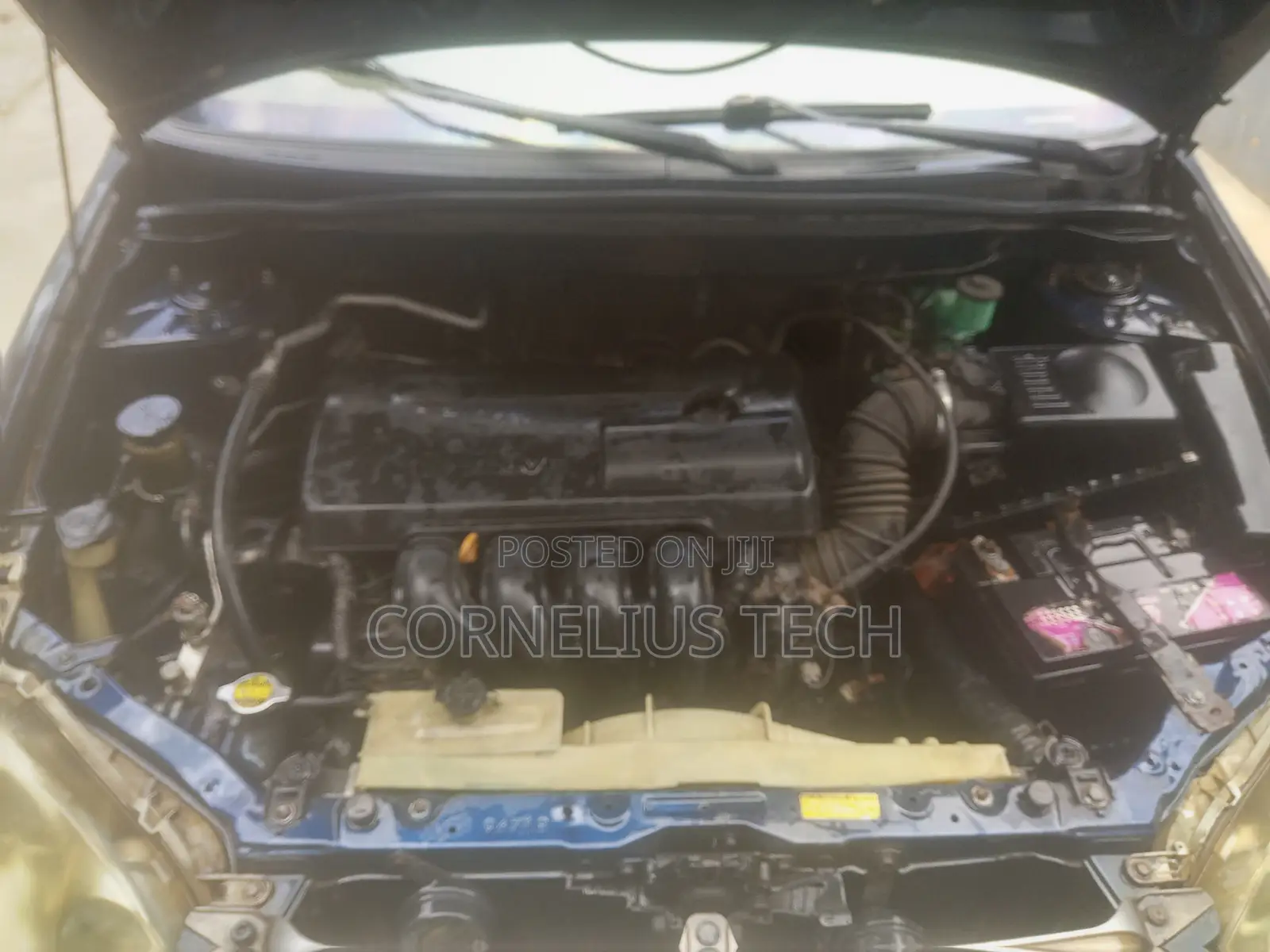 Toyota Corolla 2004 Blue