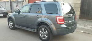 Ford Escape Limited 2010 Teal