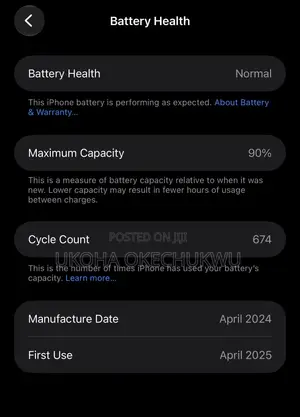Apple iPhone 15 Pro Max 256 GB Silver