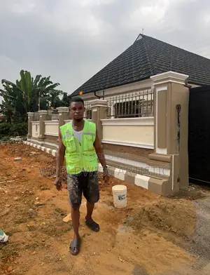 Profession House Painter and High Quality Paint Productions