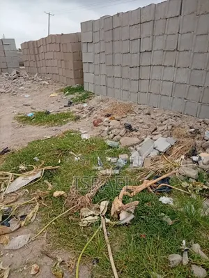 Block and Dangote Cement