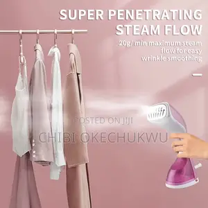 DSP Handheld Garment Steamer