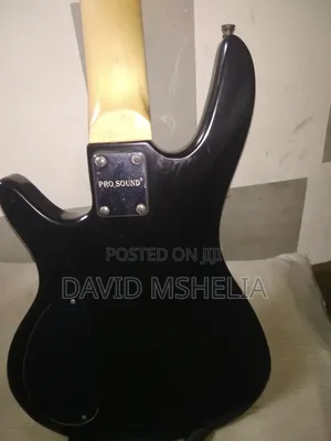5 Strings Bass Guitar