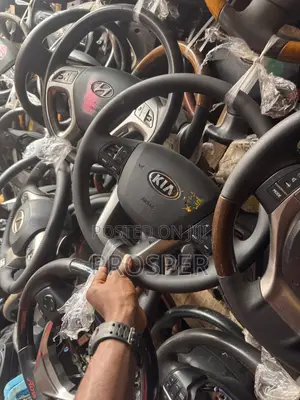 Complete Stealing Kia Rio 2013 Now Available