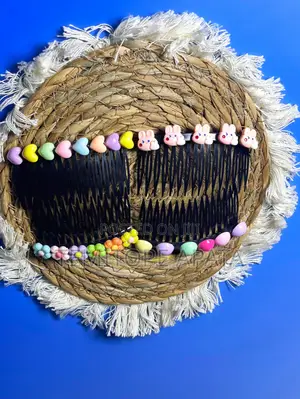 2in 1 Hair Clip