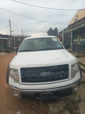 Ford F-150 2010 White