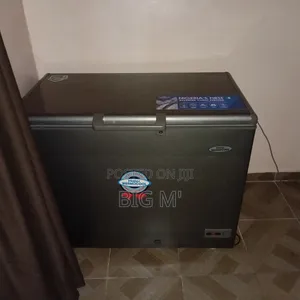 Haier Thermocool Inverter Chest Freezer