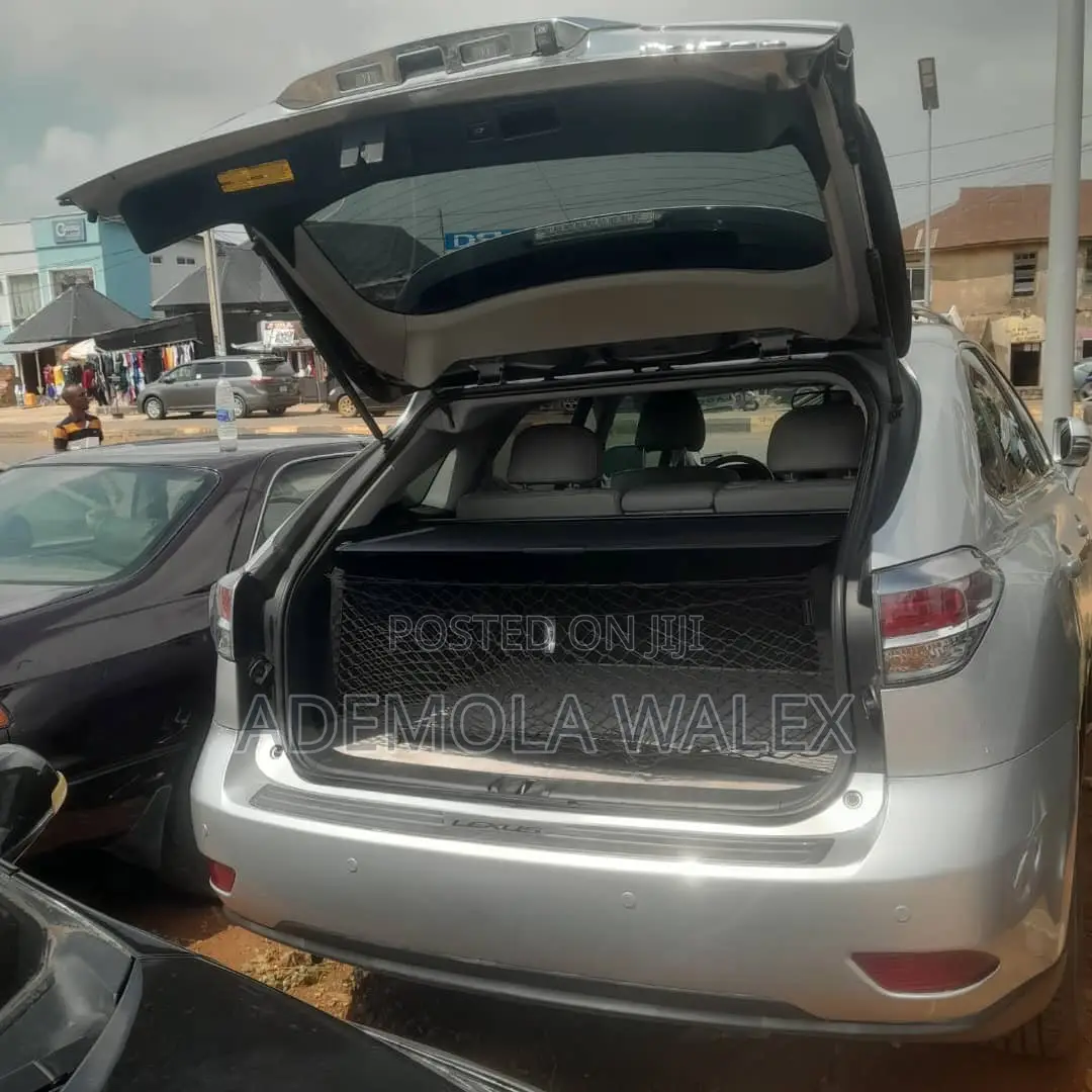 Lexus RX 2014 Gray