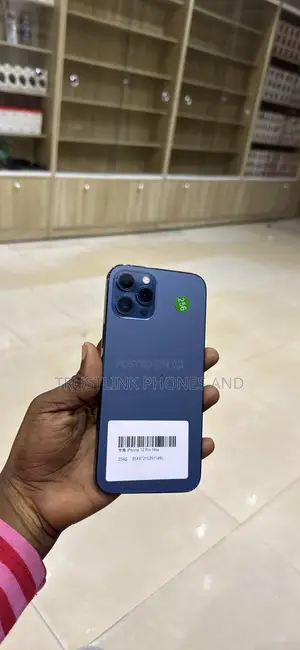 Apple iPhone 12 Pro Max 256 GB Blue