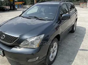 Lexus RX 350 2007 Gray